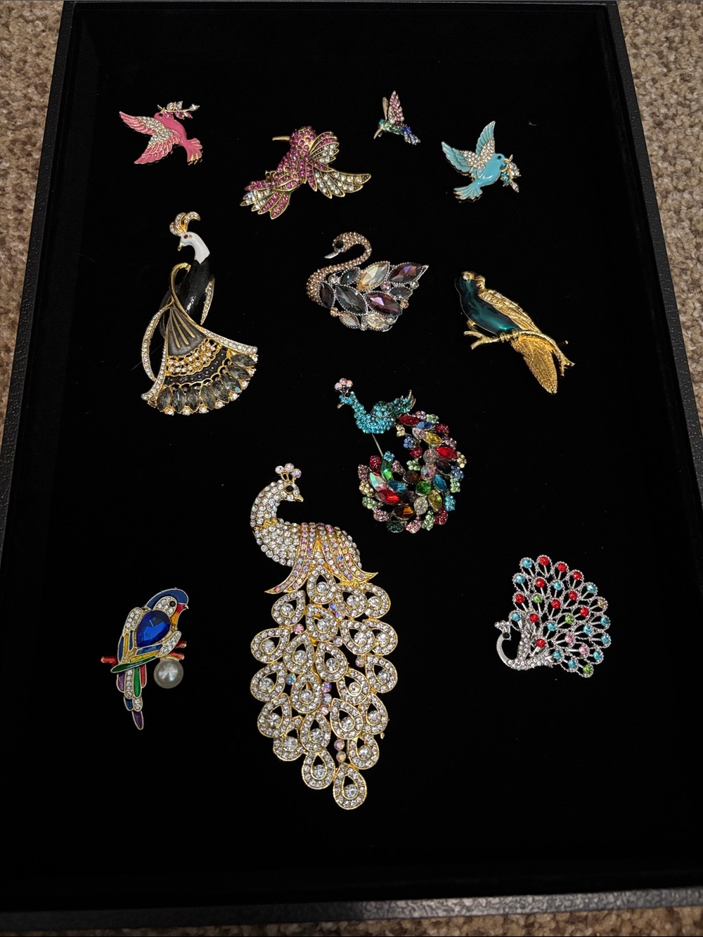 Lot of 11 Assorted Peacock and Bird Brooch Set - Multicolor